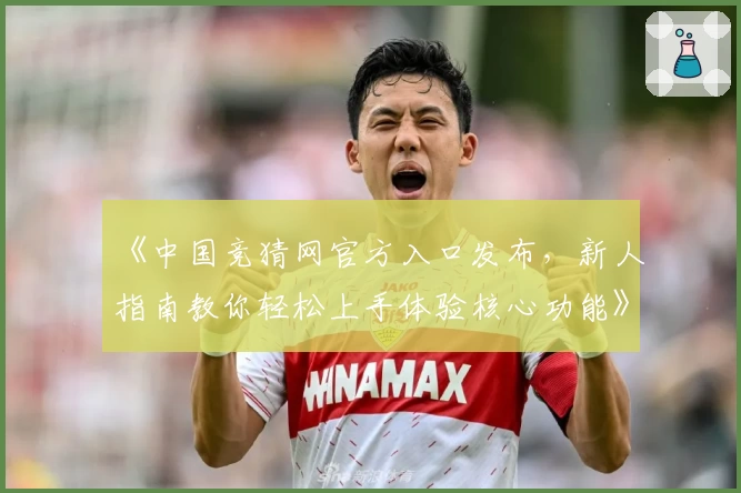 《中国竞猜网官方入口发布，新人指南教你轻松上手体验核心功能》
