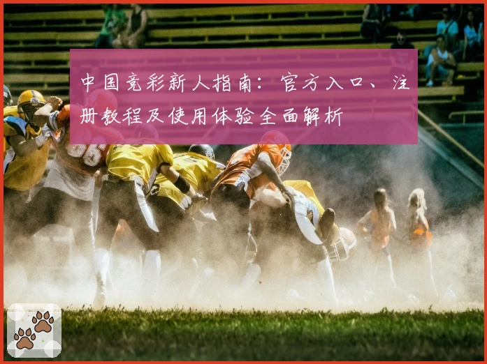中国竞彩新人指南：官方入口、注册教程及使用体验全面解析
