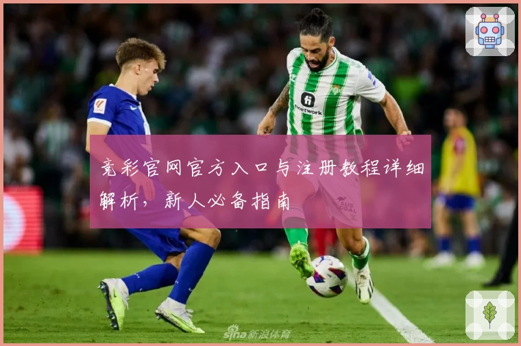 竞彩官网官方入口与注册教程详细解析，新人必备指南